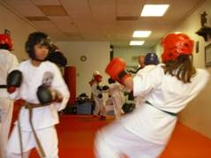 TestingBeltCeremonyJan2013.JPG